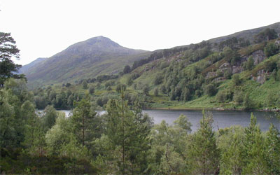 Glen Affric