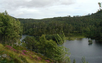 Glen Affric