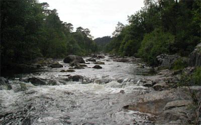 Glen Affric